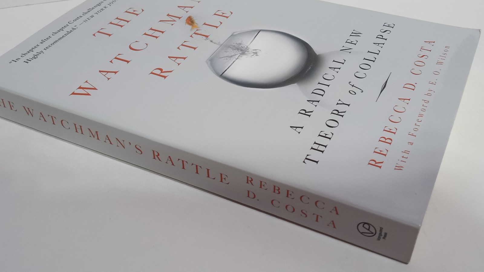 1st Ed. The Watchman’s Rattle Rebecca D. Costa PB 2010 Vanguard Press Collapse