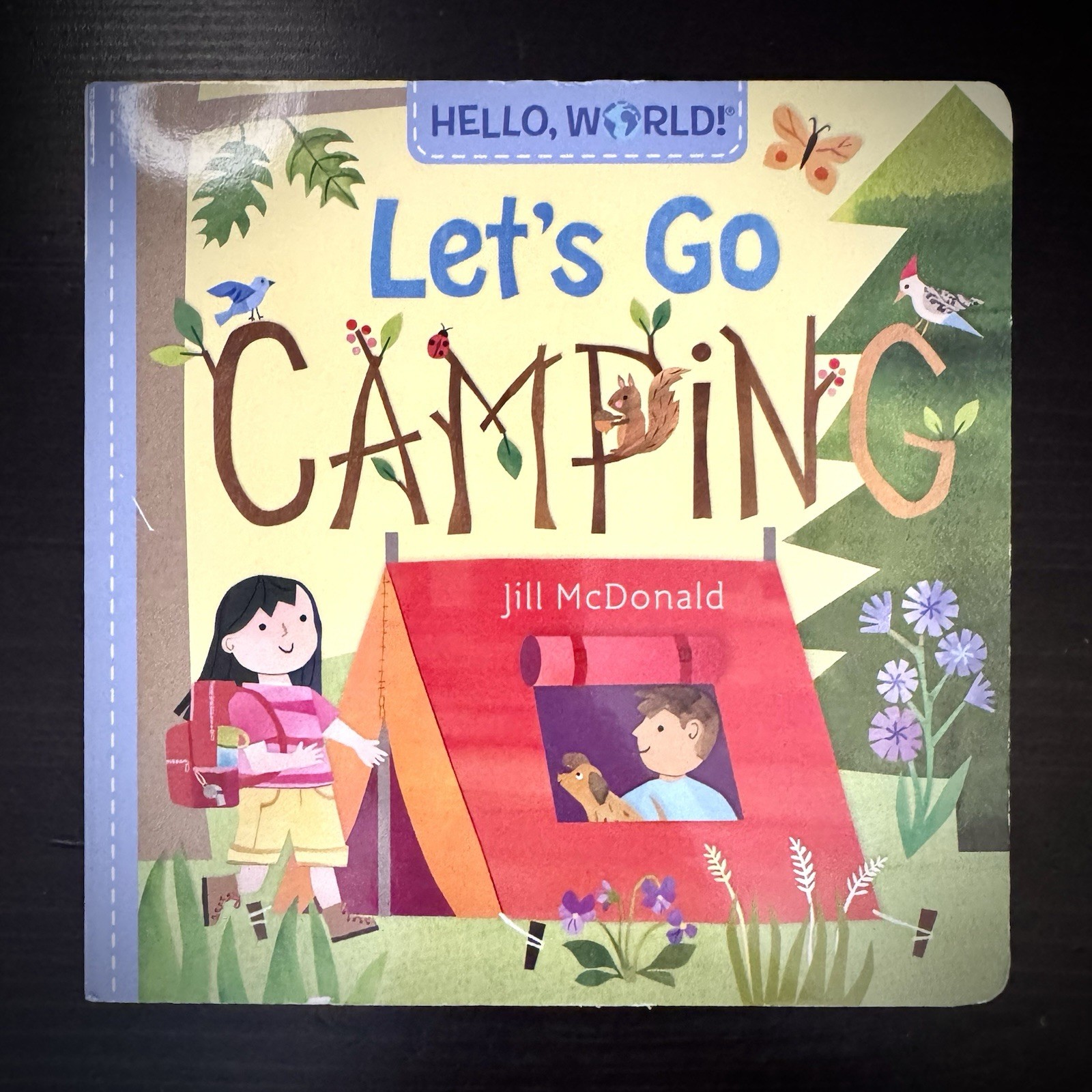Hello, World! Let’s Go Camping by Jill Mcdonald (2023, Children’s Board Books)