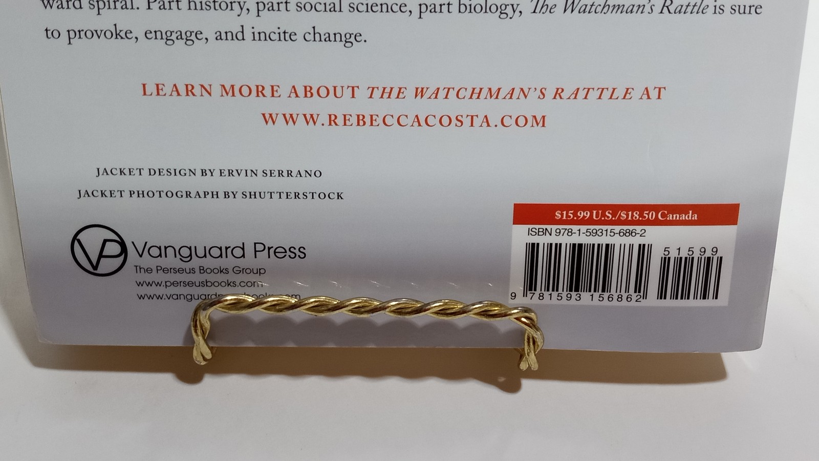 1st Ed. The Watchman’s Rattle Rebecca D. Costa PB 2010 Vanguard Press Collapse