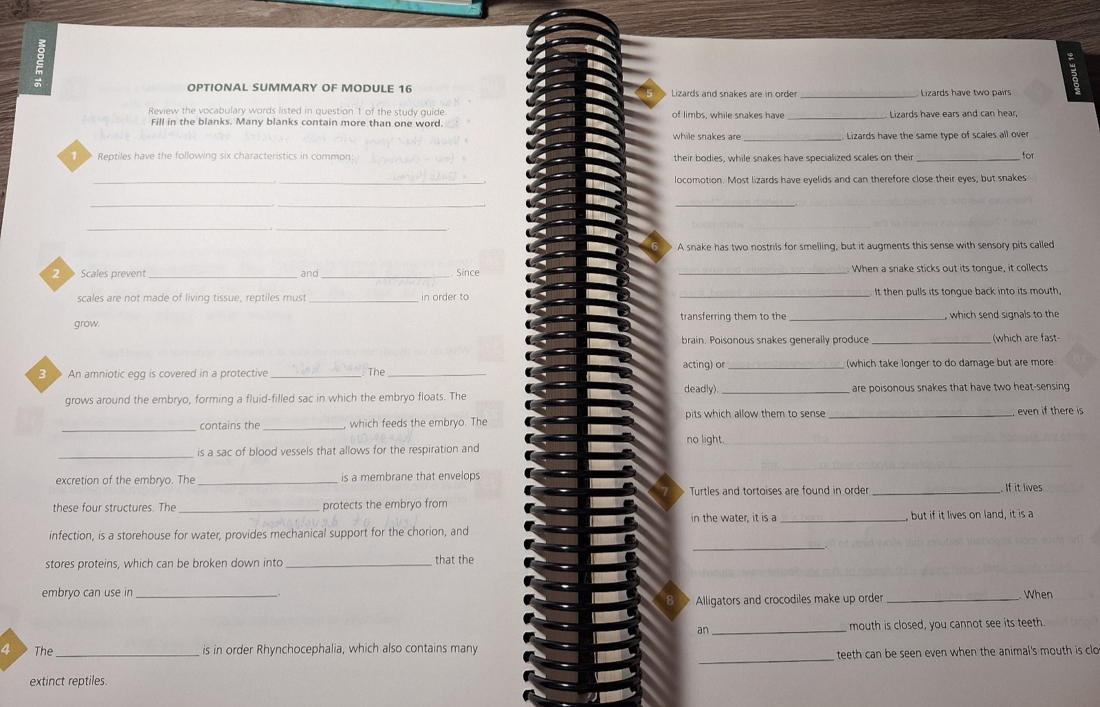 Exploring Creation with Biology 2nd Edition Student Textbook & Student Notebook