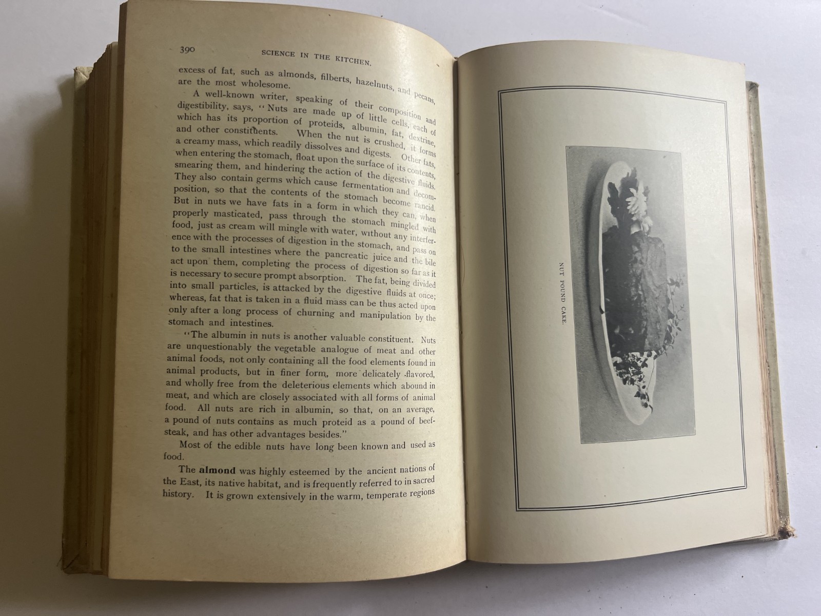 MRS E.E. KELLOGG Science in the Kitchen HB Health Publishing 1892 cookbook