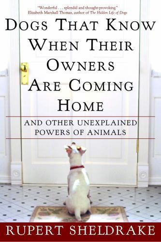 Dogs That Know When Their Owners Are Coming- Sheldrake, 9780609805336, paperback