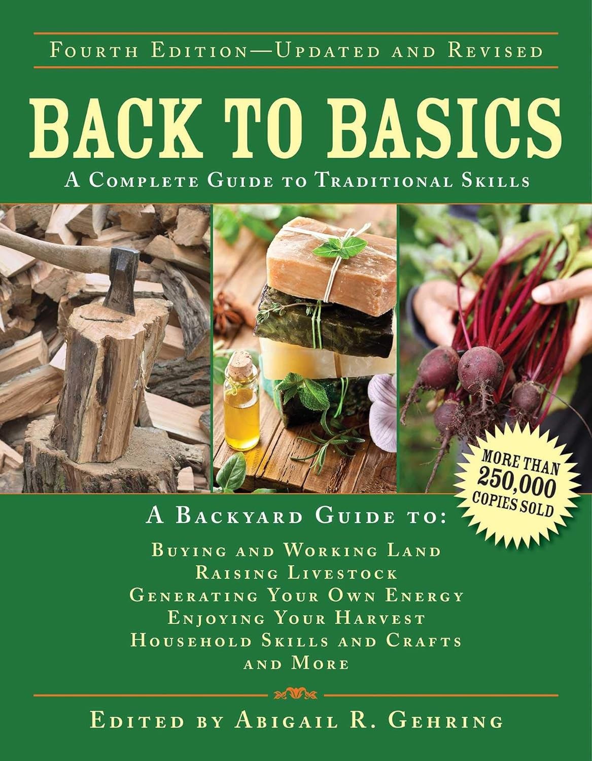 Back to Basics: A Complete Guide to Traditional Skills (Back to Basics Guides) b