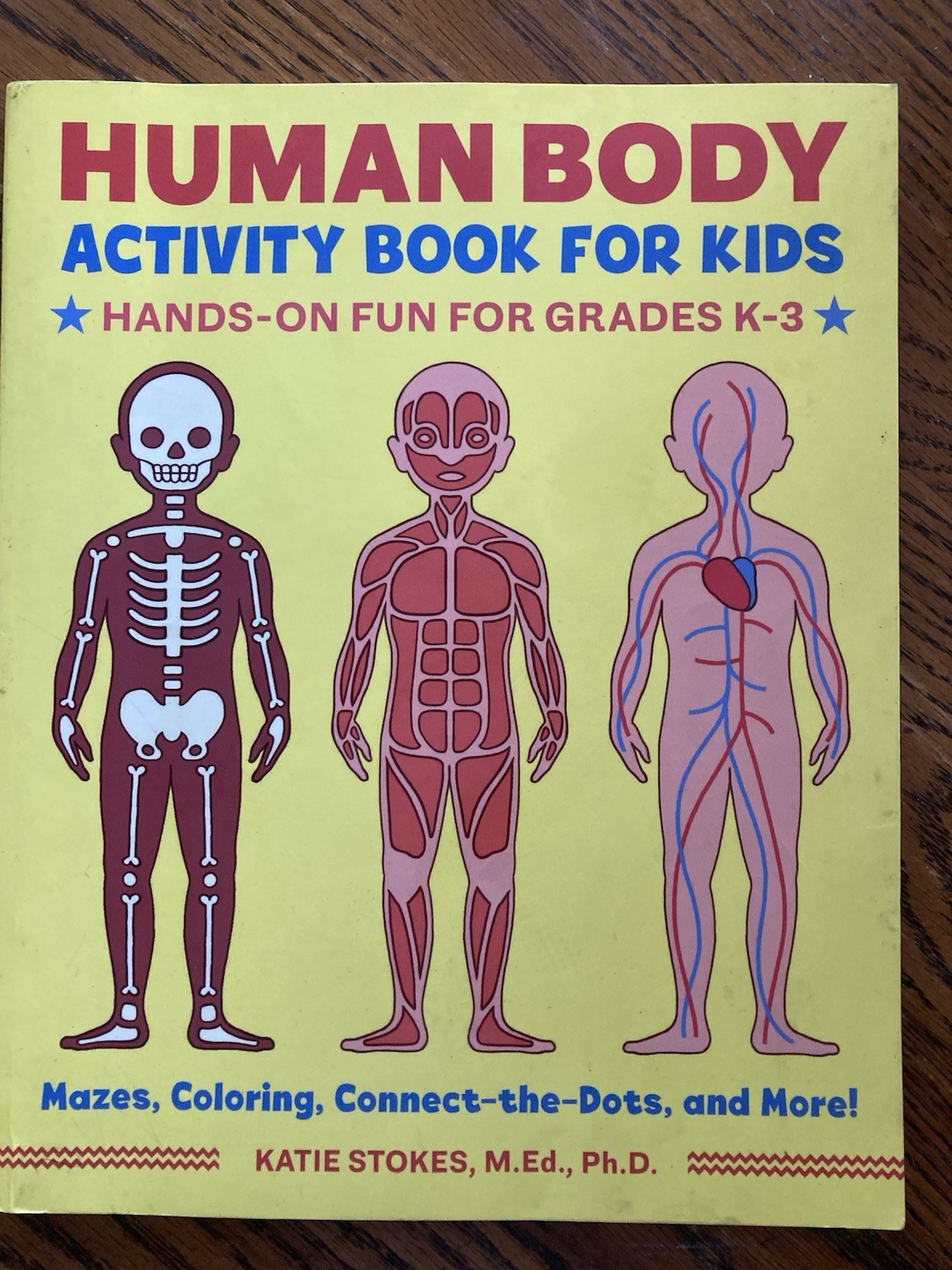 Human Body Activity Book for Kids : Hands-On Fun for Grades K-3 by Katie Stokes