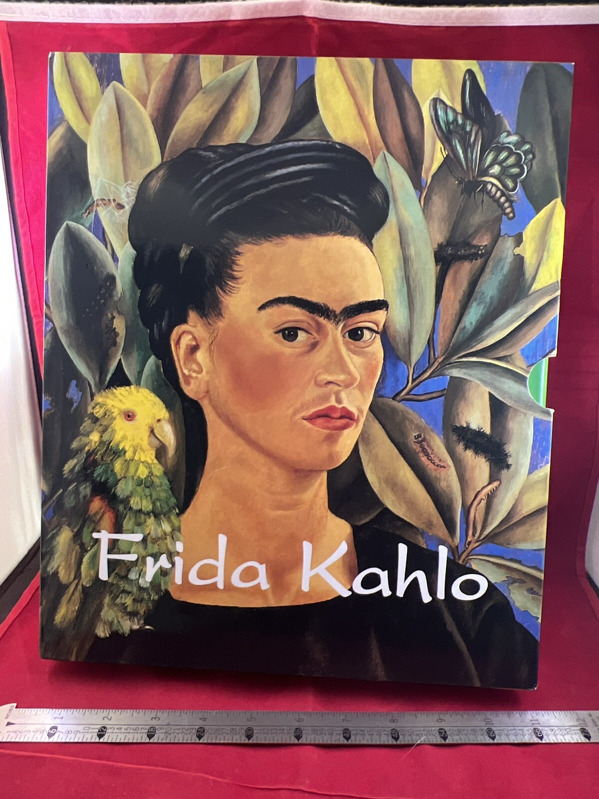 Frida Kahlo and Diego Rivera by Gerry Souter (2018, Hard Cover, Box Set)