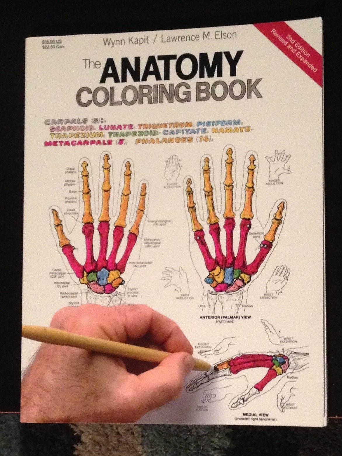 The Anatomy Coloring Book – paperback Wynn Kapit