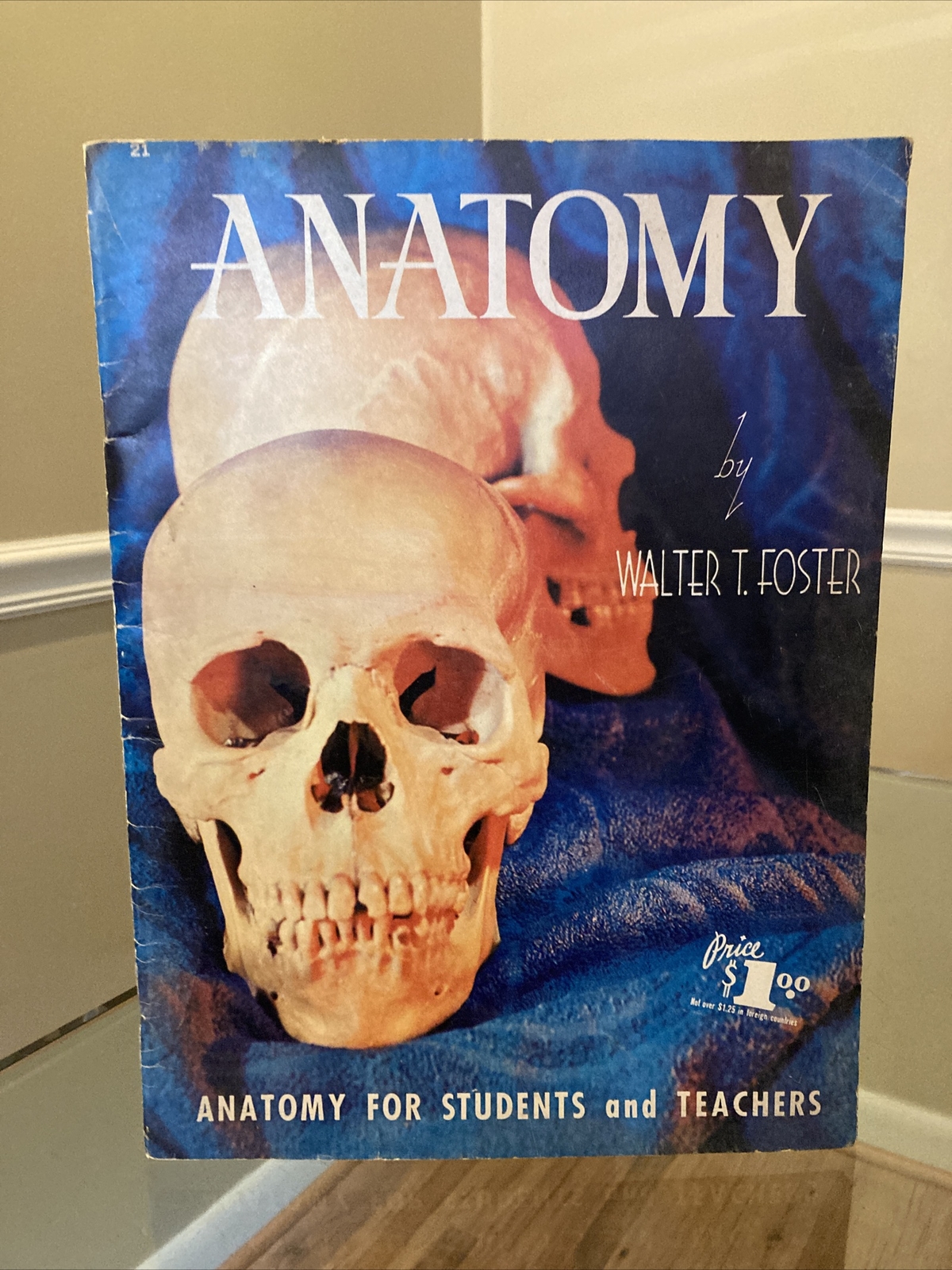 ANATOMY by Walter T Foster VINTAGE Paperback Drawing Book, Large Size QUICK SHIP