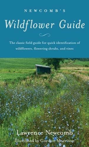 Newcomb’s Wildflower Guide by Lawrence Newcomb: Used