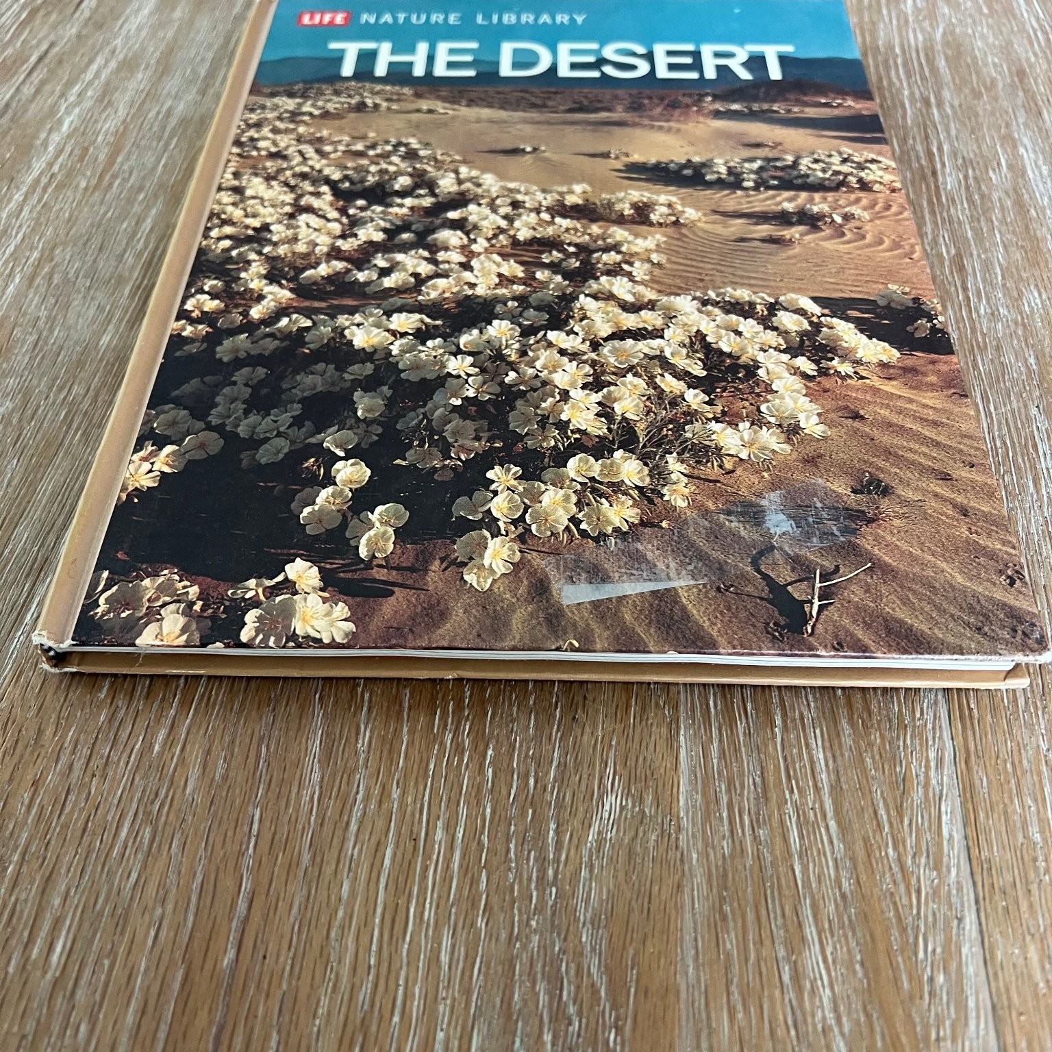 The Desert A. Starker Leopold 1971 Revised Edition Life Nature Library Time-Life