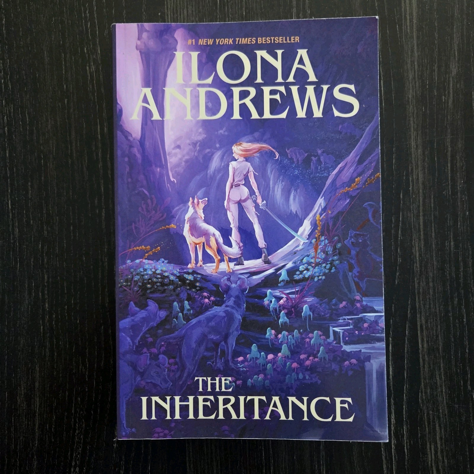The Inheritance by Ilona Andrews Paperback