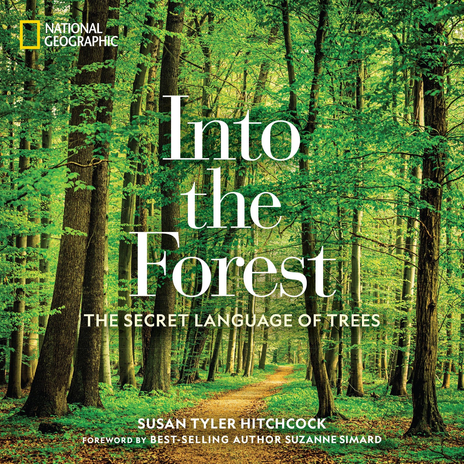 Into the Forest: The Secret Language of Trees – Susan Tyler Hitchcock – New …
