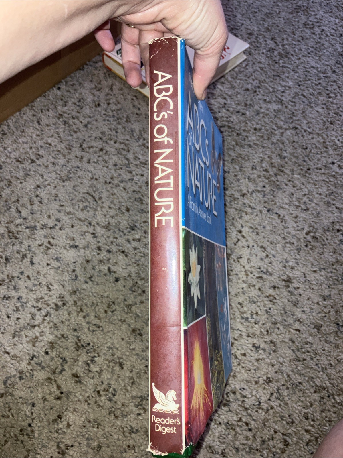 Readers Digest ABC’s of Nature HC 1984 336 Pages Dust Jacket Family Answer Book