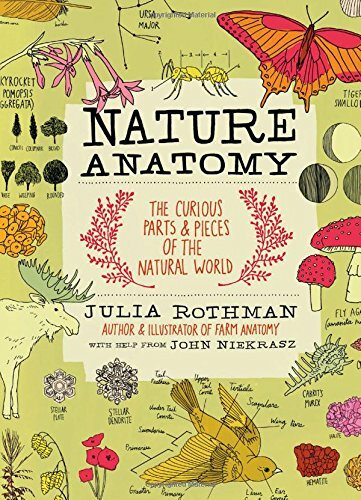Nature Anatomy (Julia Rothman) by Rothman, Julia Book The Fast Free Shipping
