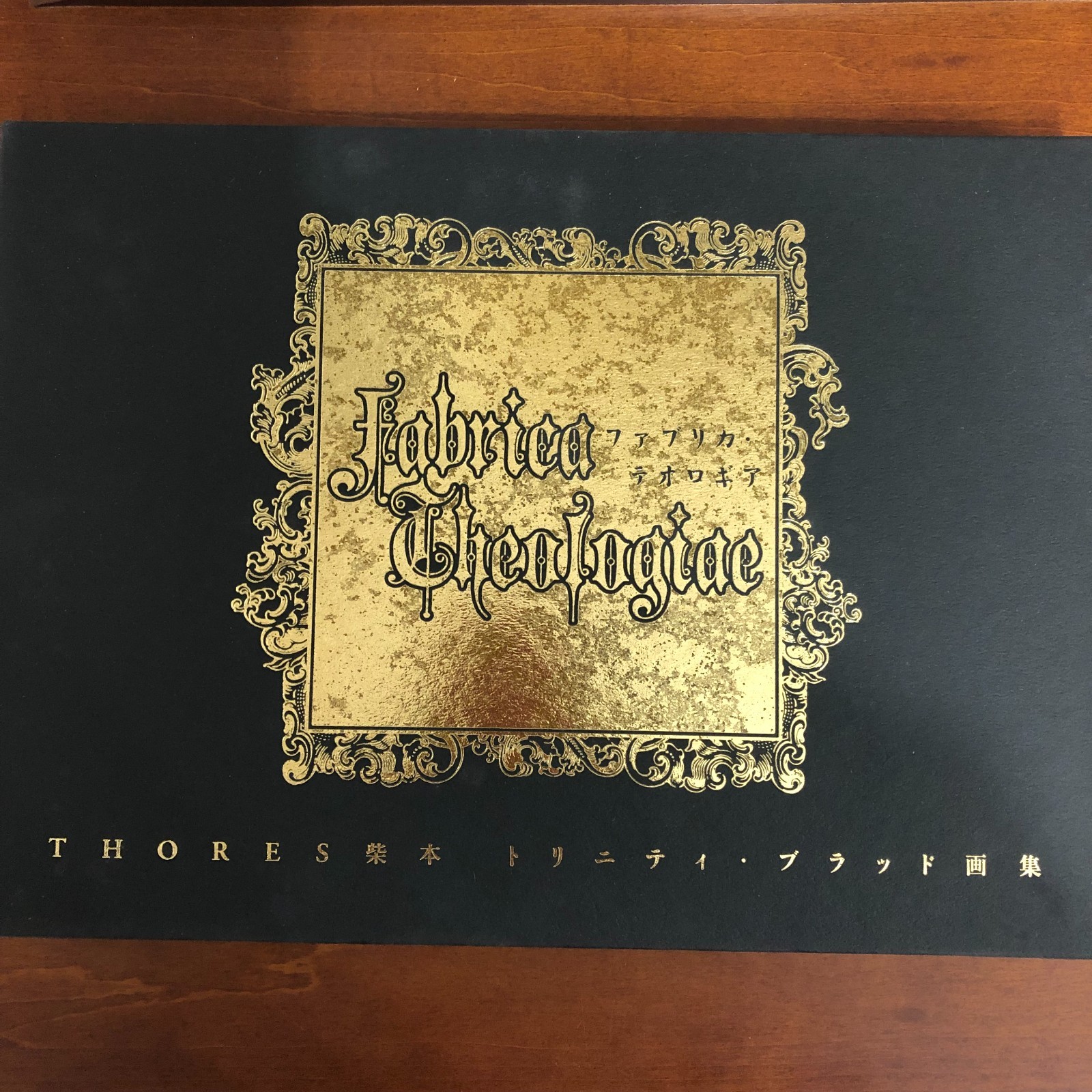 Trinity Blood illustration fabrica theologiae Art Book THORES Shibamoto