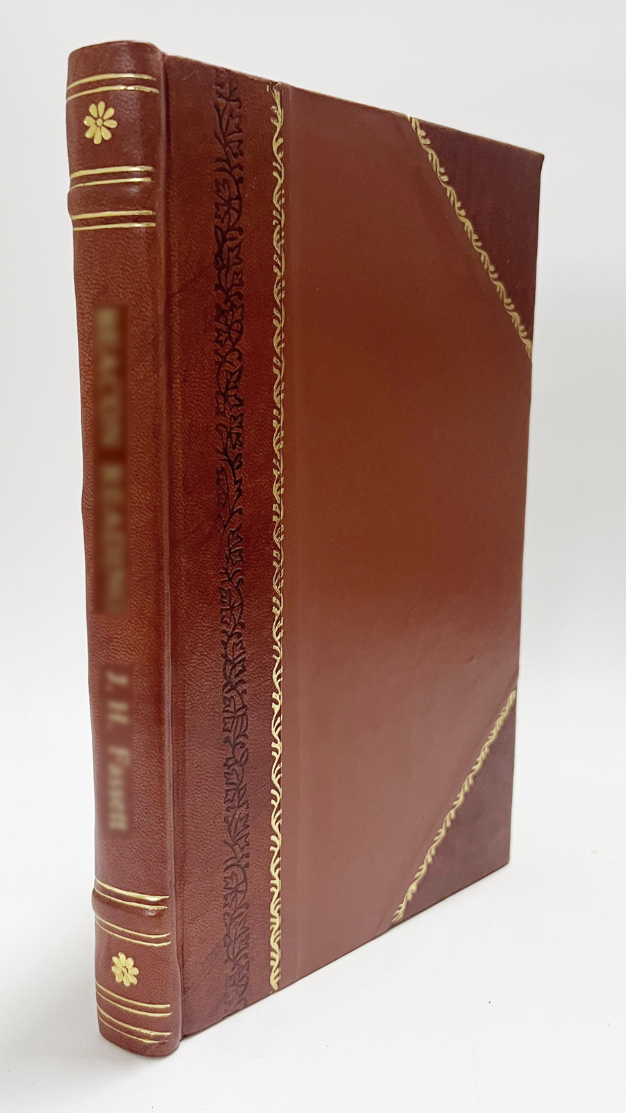 Argumenta Contra Orientalem Ecclesiam Eiusque Synodicam [Leather Bound]