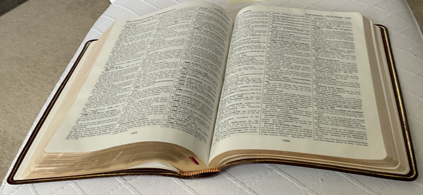LIKE NEW***THOMPSON CHAIN-REFERENCE BIBLE***NIV***GENUINE LEATHER