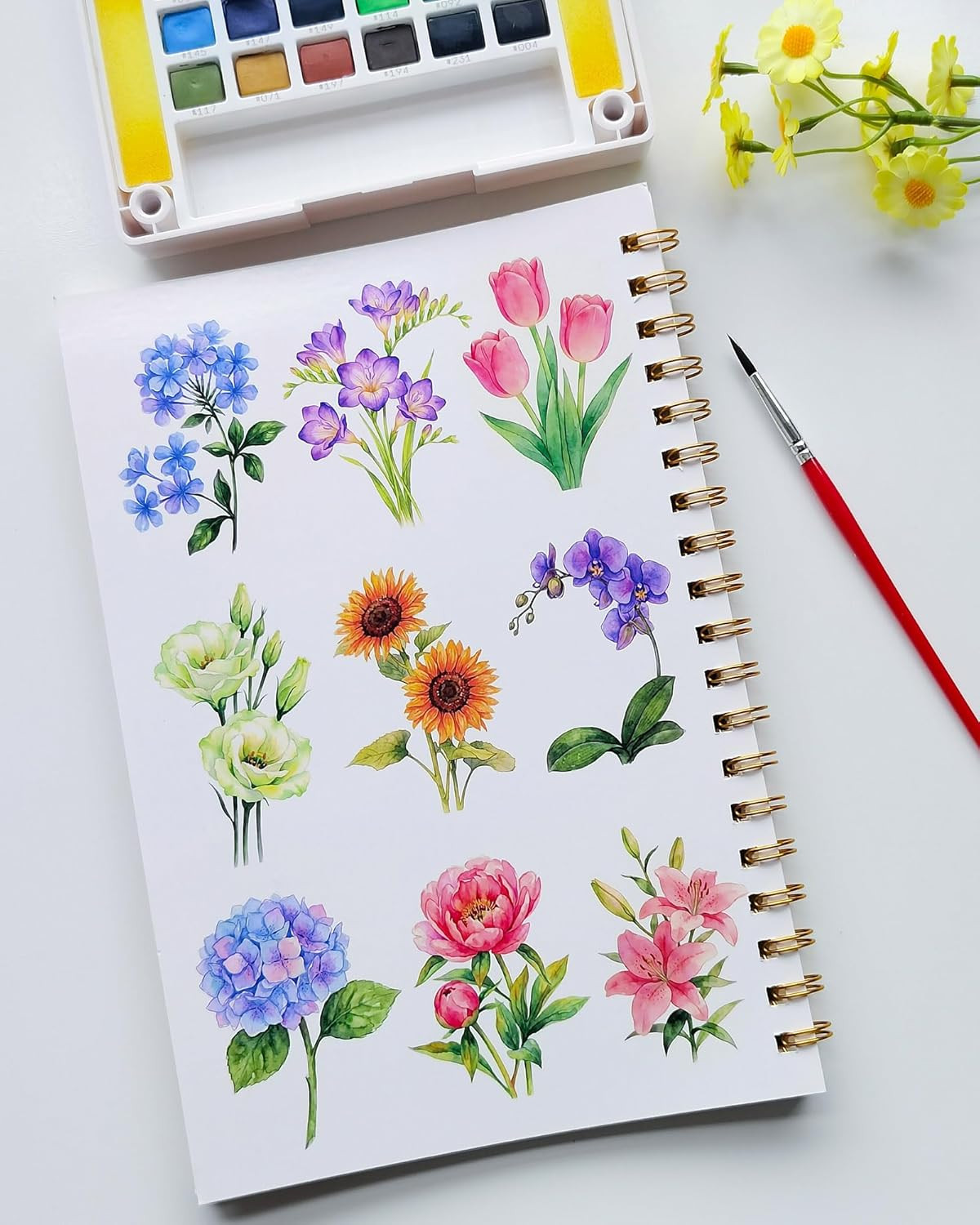 Watercolor Workbook, Water Coloring Book for Adult &Teens Beginners,15 Beautiful