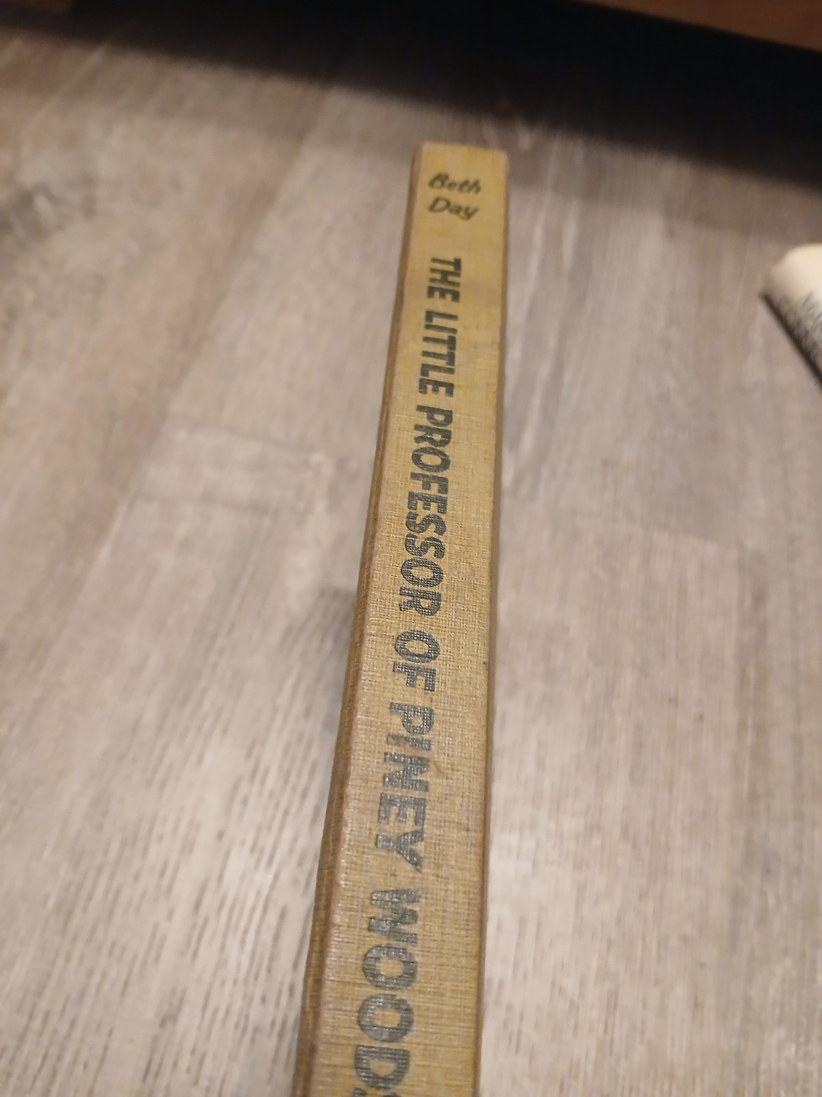 Beth Day LITTLE PROFESSOR OF PINEY WOODS 1955 HC/DJ 1st