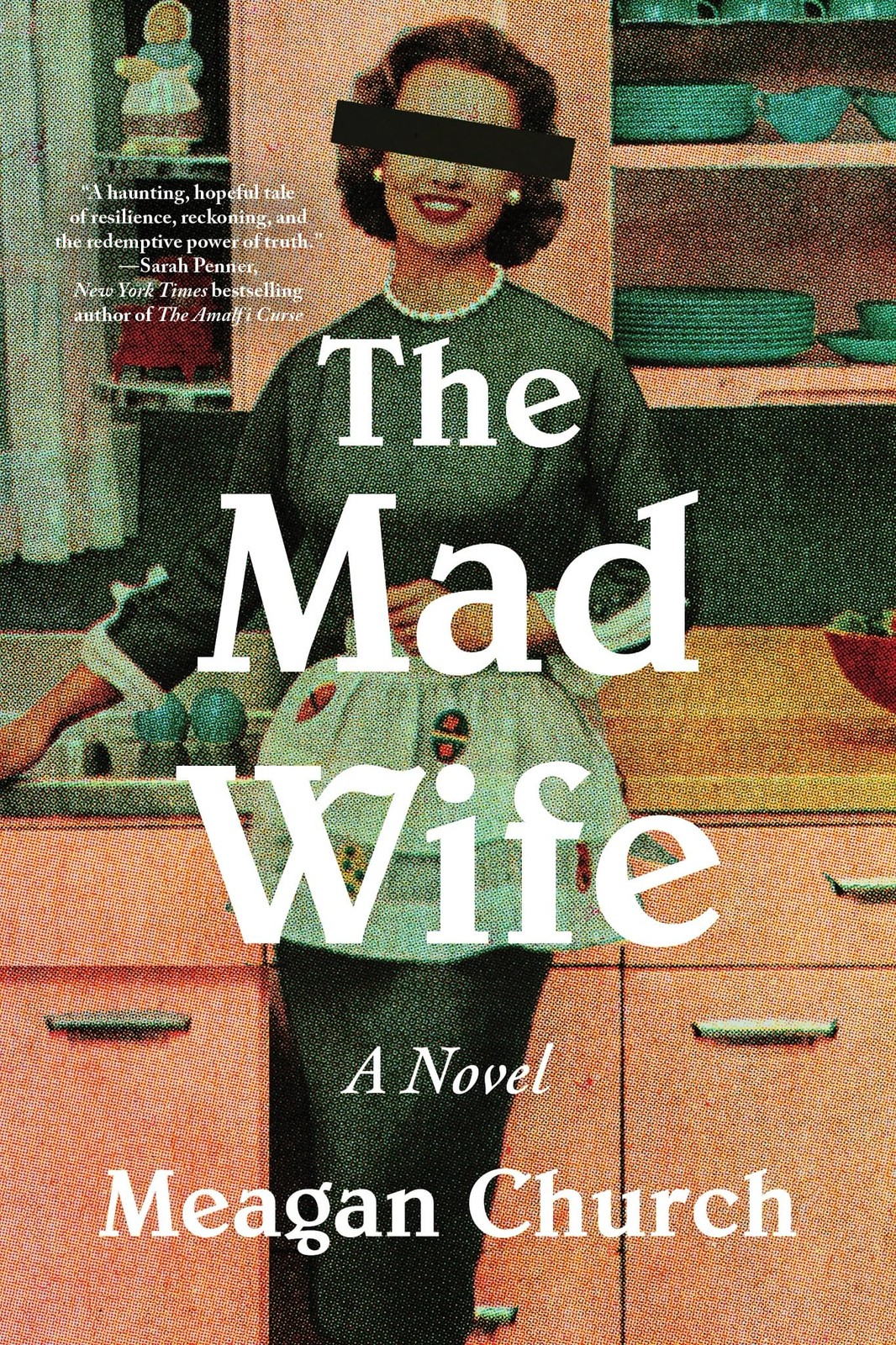 The Mad Wife: A Bestselling Novel of Motherhood and Madness