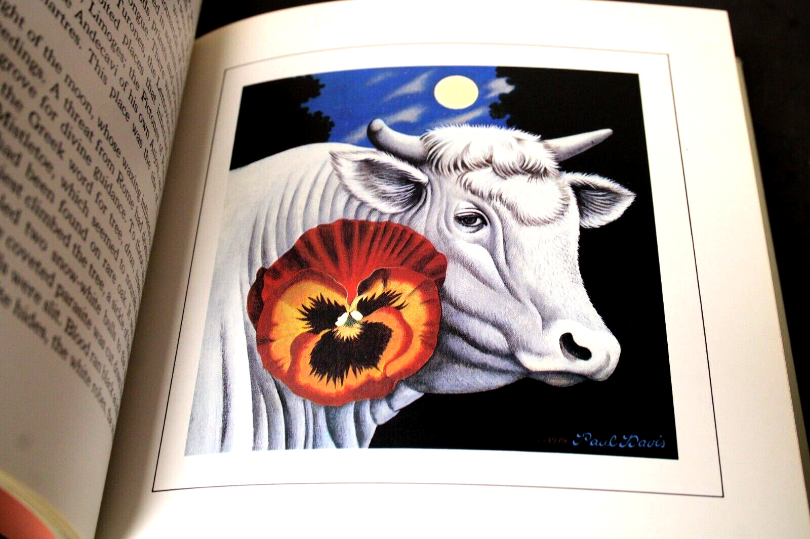 Bouquet: Twelve Flower Fables By Myrna Davis & Paintings By Paul Davis