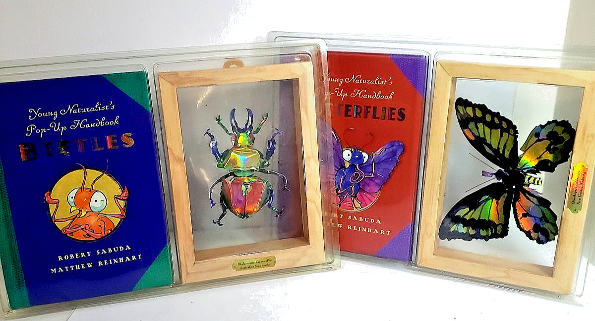 2 NEW BOOKS ROBERT SABUDA AND MATTHEW REINHART “BEETLES & BUTTERFLIES