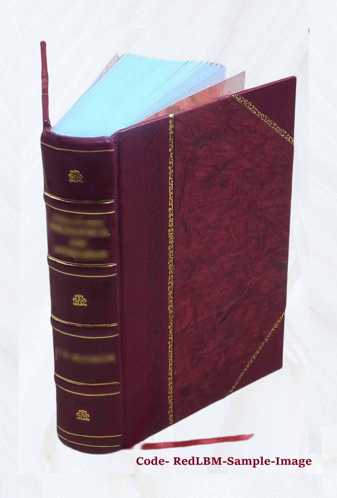 And Quiet Flows The Don; A Novel 1900 [Leather Bound]