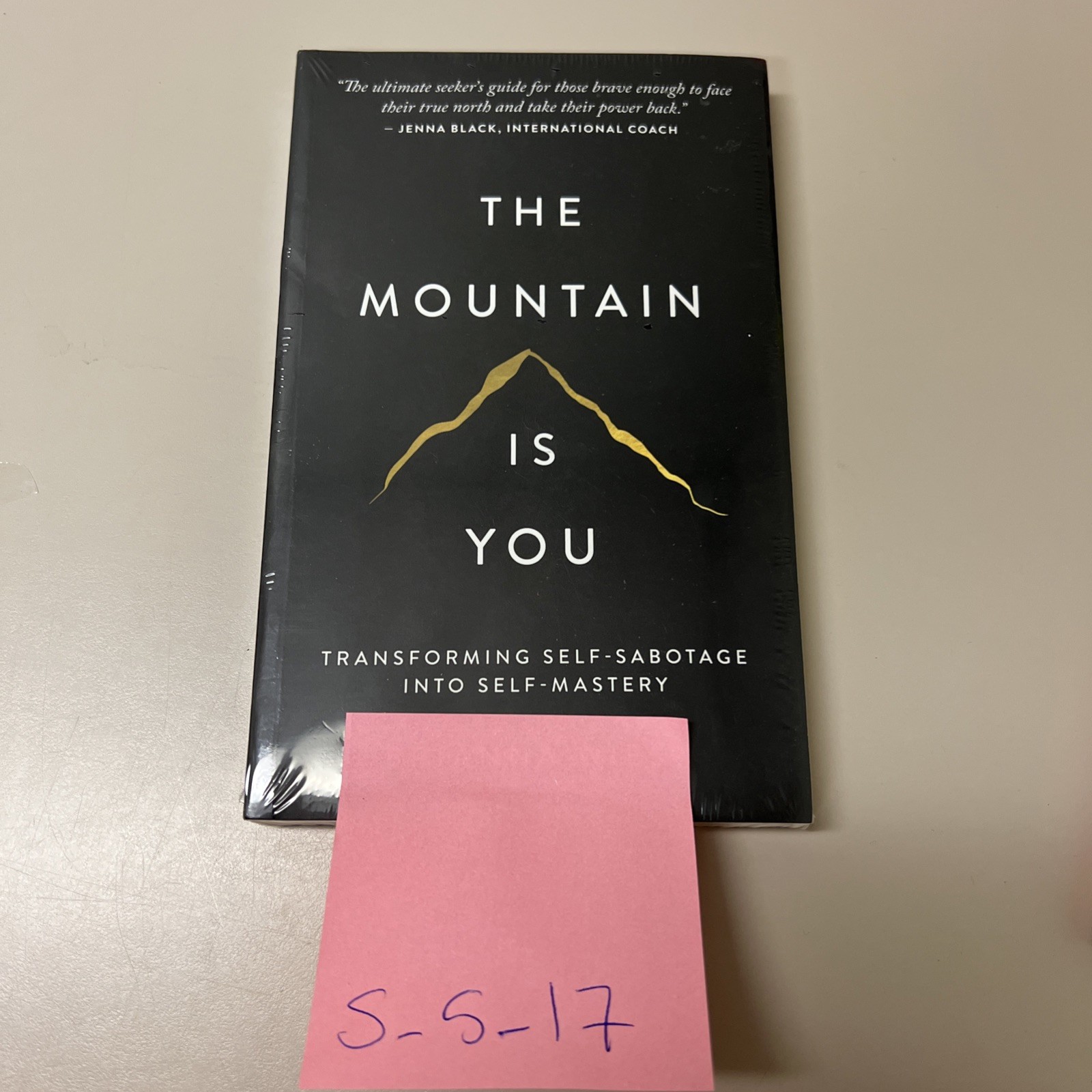 The Mountain is you by Brianna Wiest Paperback Book