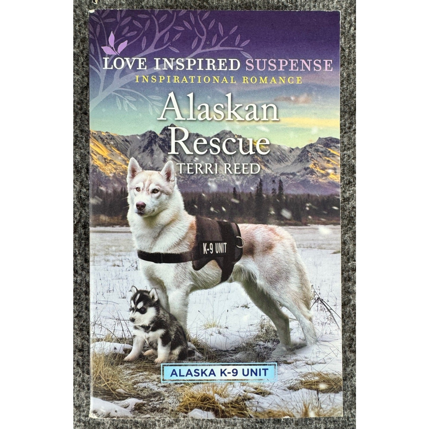 Alaskan Rescue by Terri Reed (Paperback)