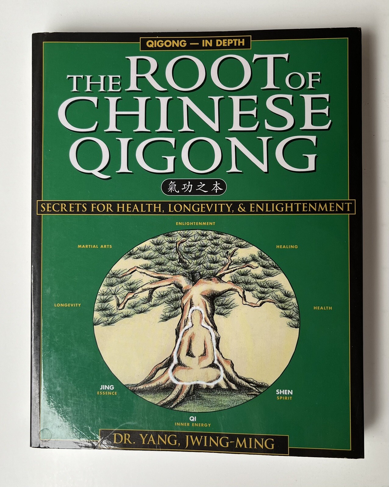 Qigong Foundation Ser.: The Root of Chinese Qigong : Secrets of Health – New