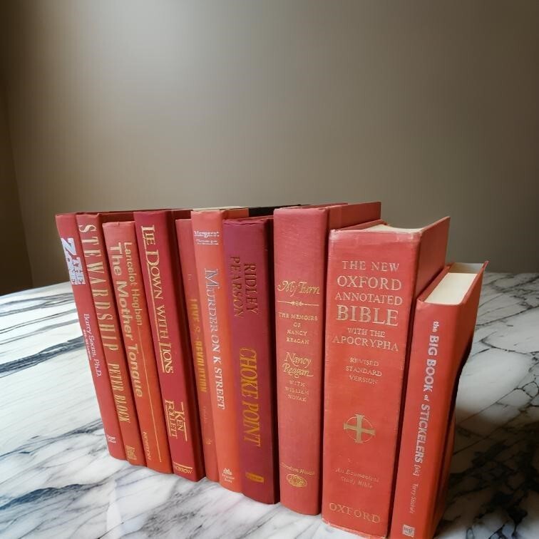 Lot of 6 Hardcover RED BURGUNDY ROSE PINK Shades Books for Staging Prop Decor