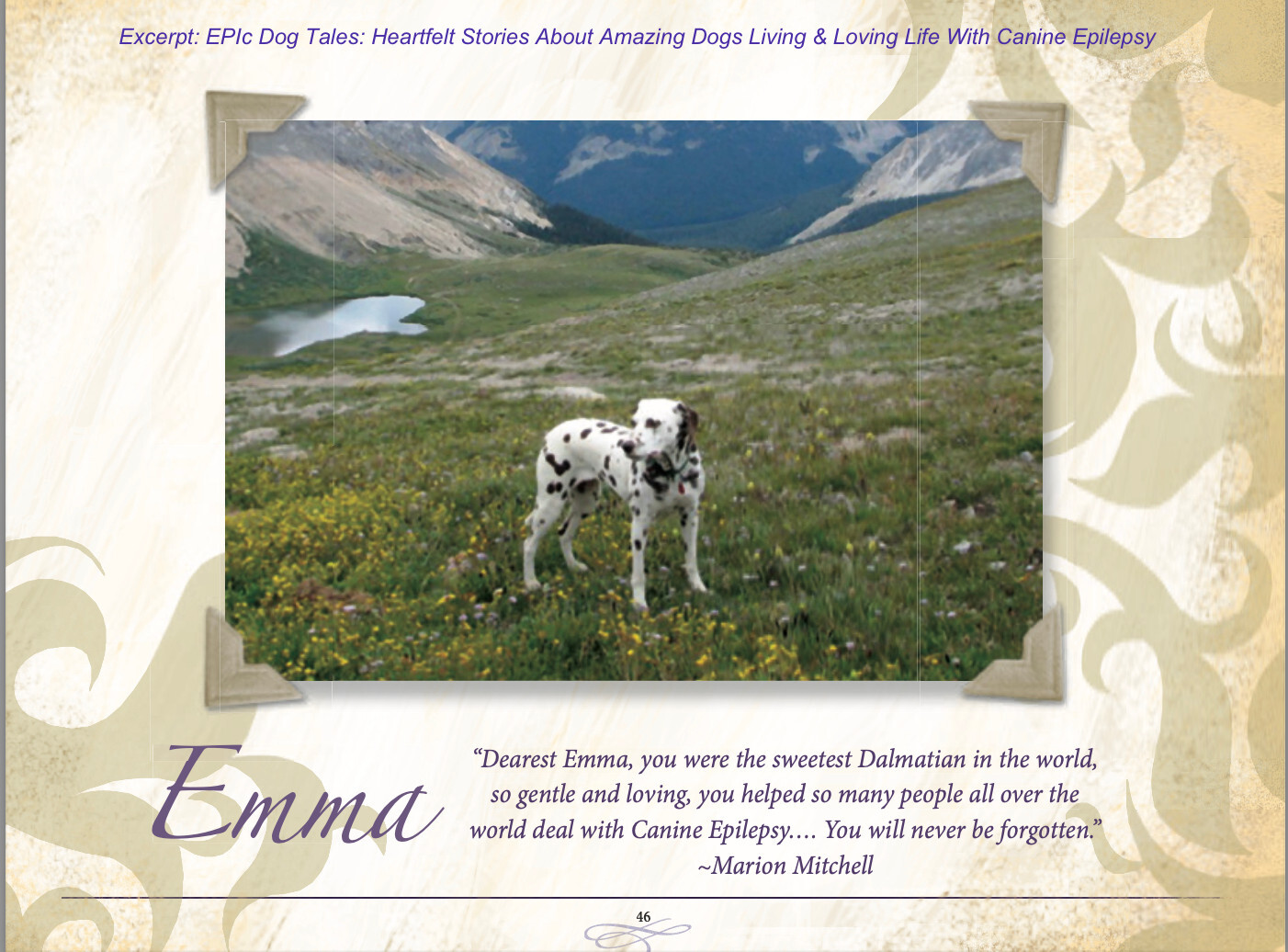 EPIc Dog Tales – Coffee Table Reference Book About Dogs With Canine Epilepsy