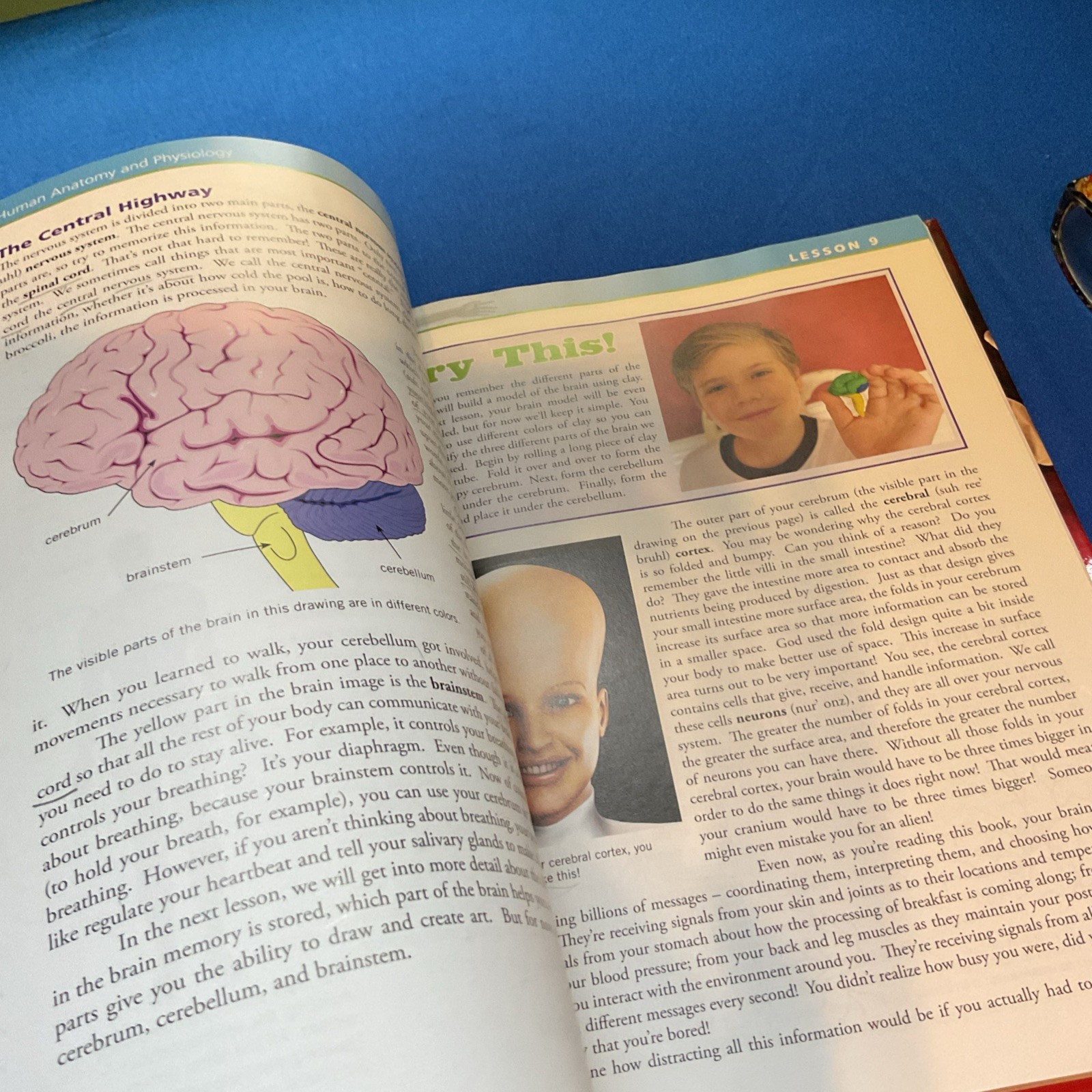 Apologia Exploring Creation with Human Anatomy and Physiology