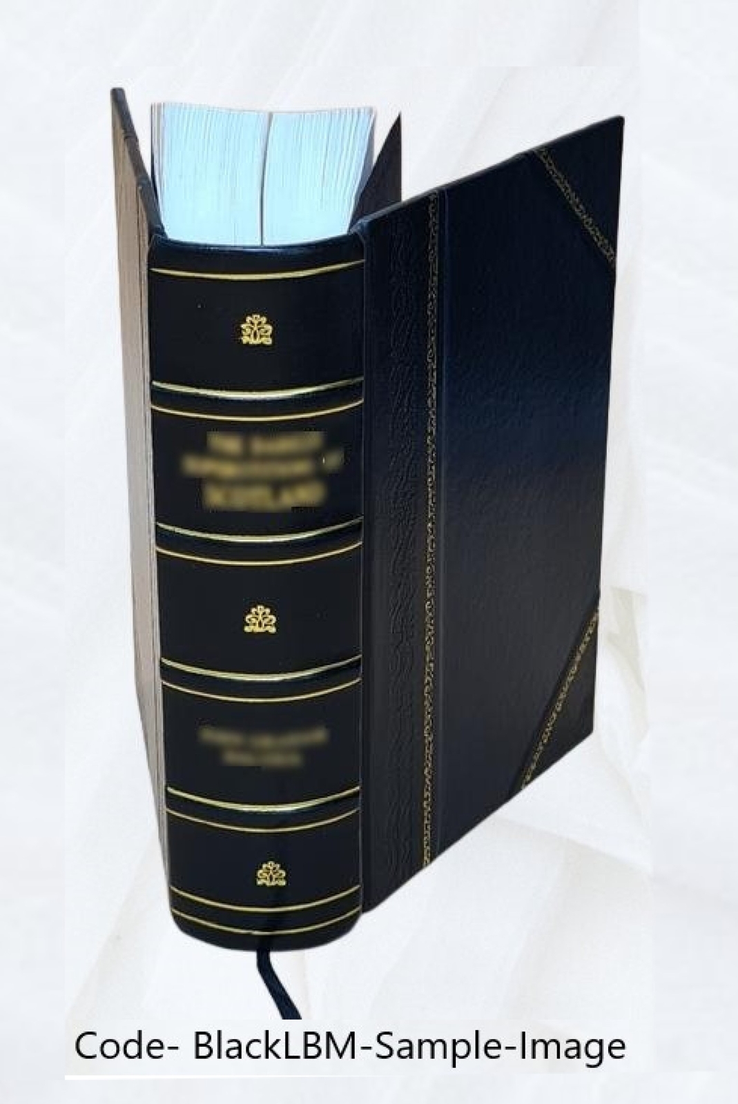 And Quiet Flows The Don; A Novel 1900 [Leather Bound]