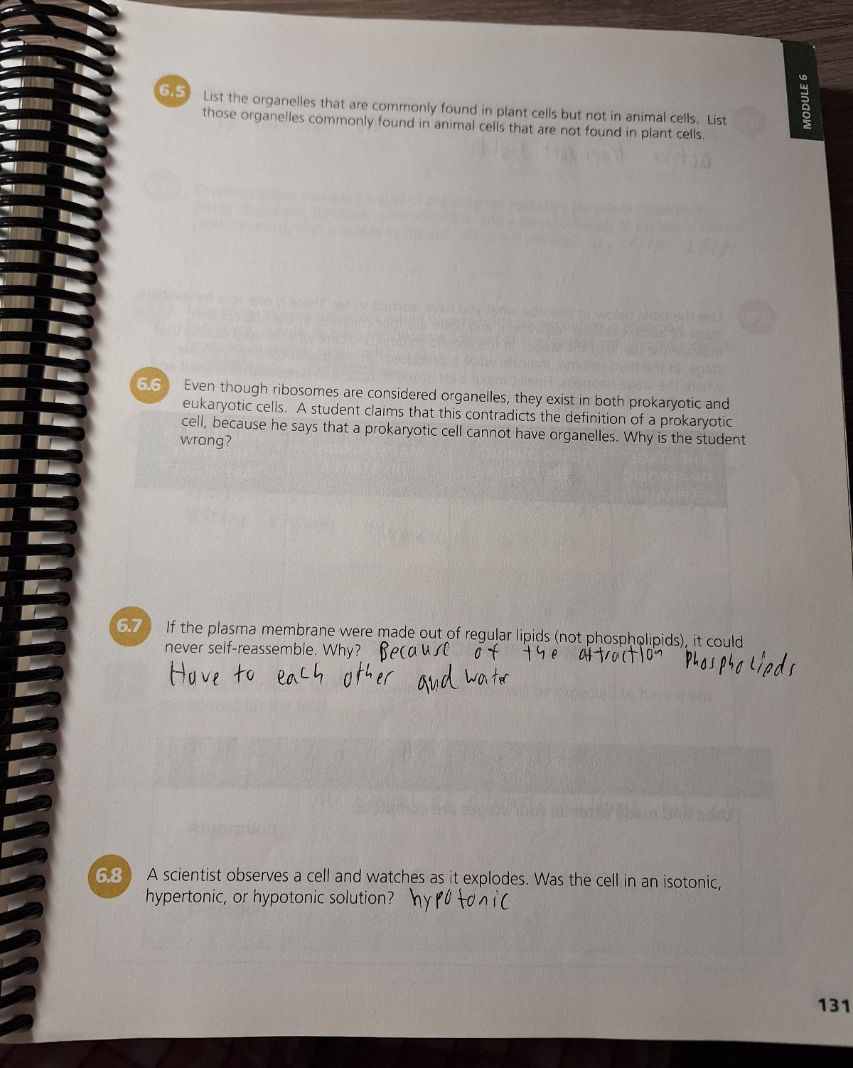 Exploring Creation with Biology 2nd Edition Student Textbook & Student Notebook