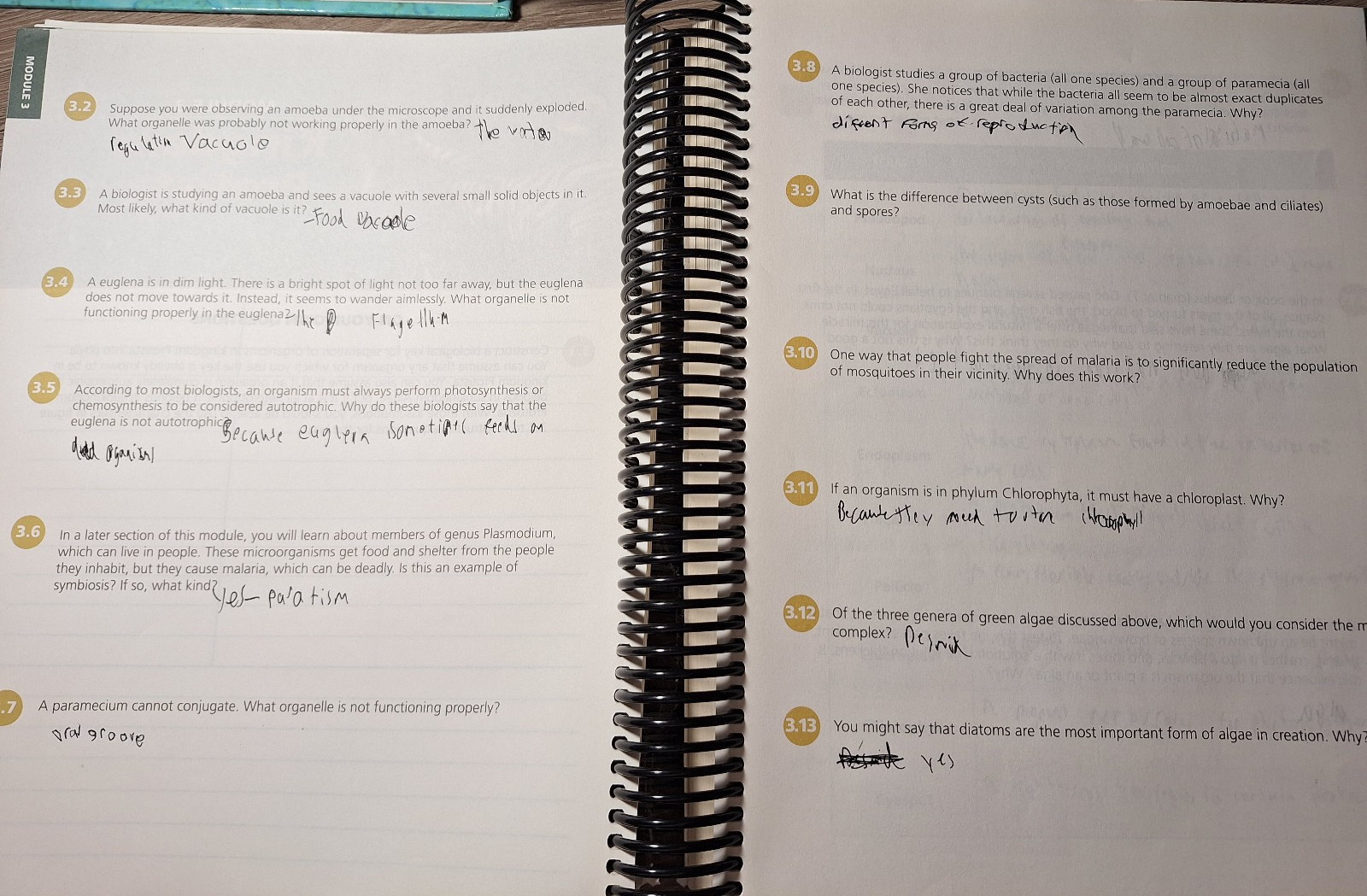 Exploring Creation with Biology 2nd Edition Student Textbook & Student Notebook