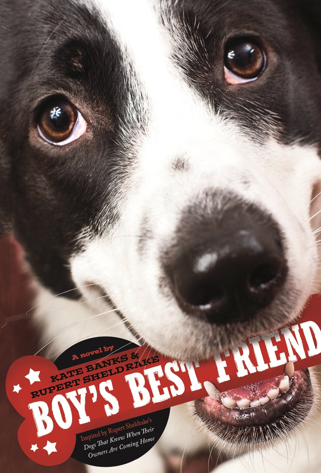 Boy’s Best Friend – Sheldrake, Rupert|Banks, Kate – Acceptable – See conditi…