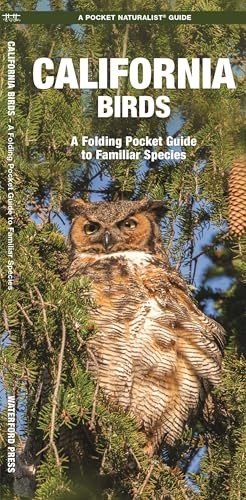 California Birds: A Folding Pocket Guide to Familiar Species (Nature Observation