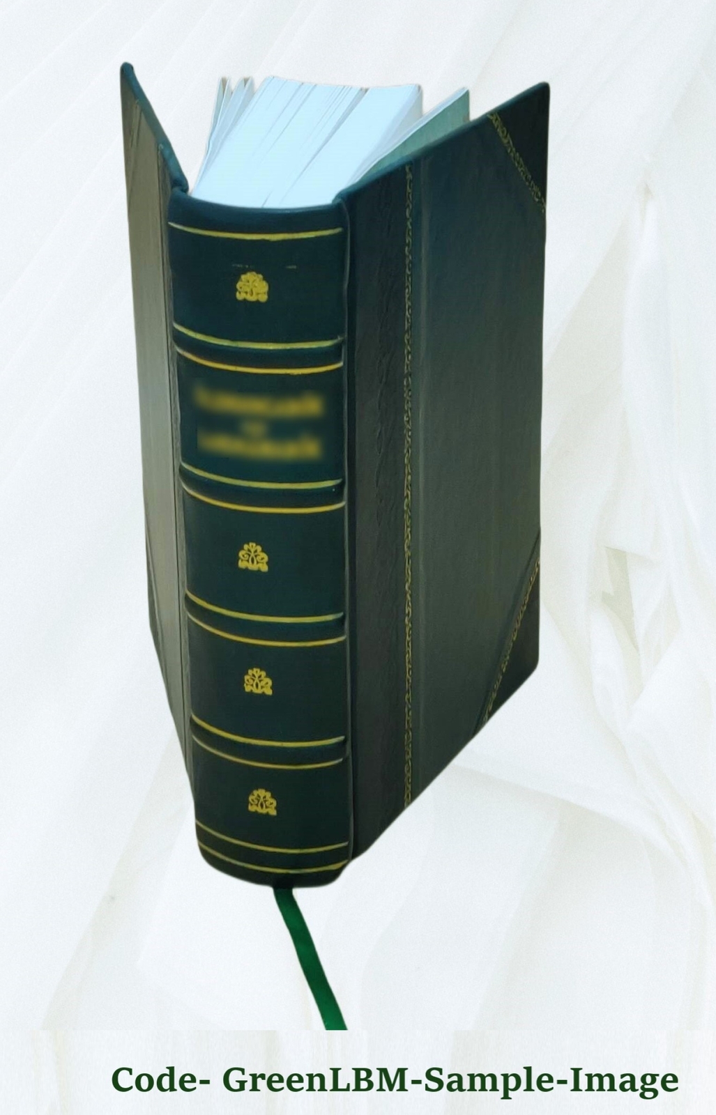 And Quiet Flows The Don; A Novel 1900 [Leather Bound]