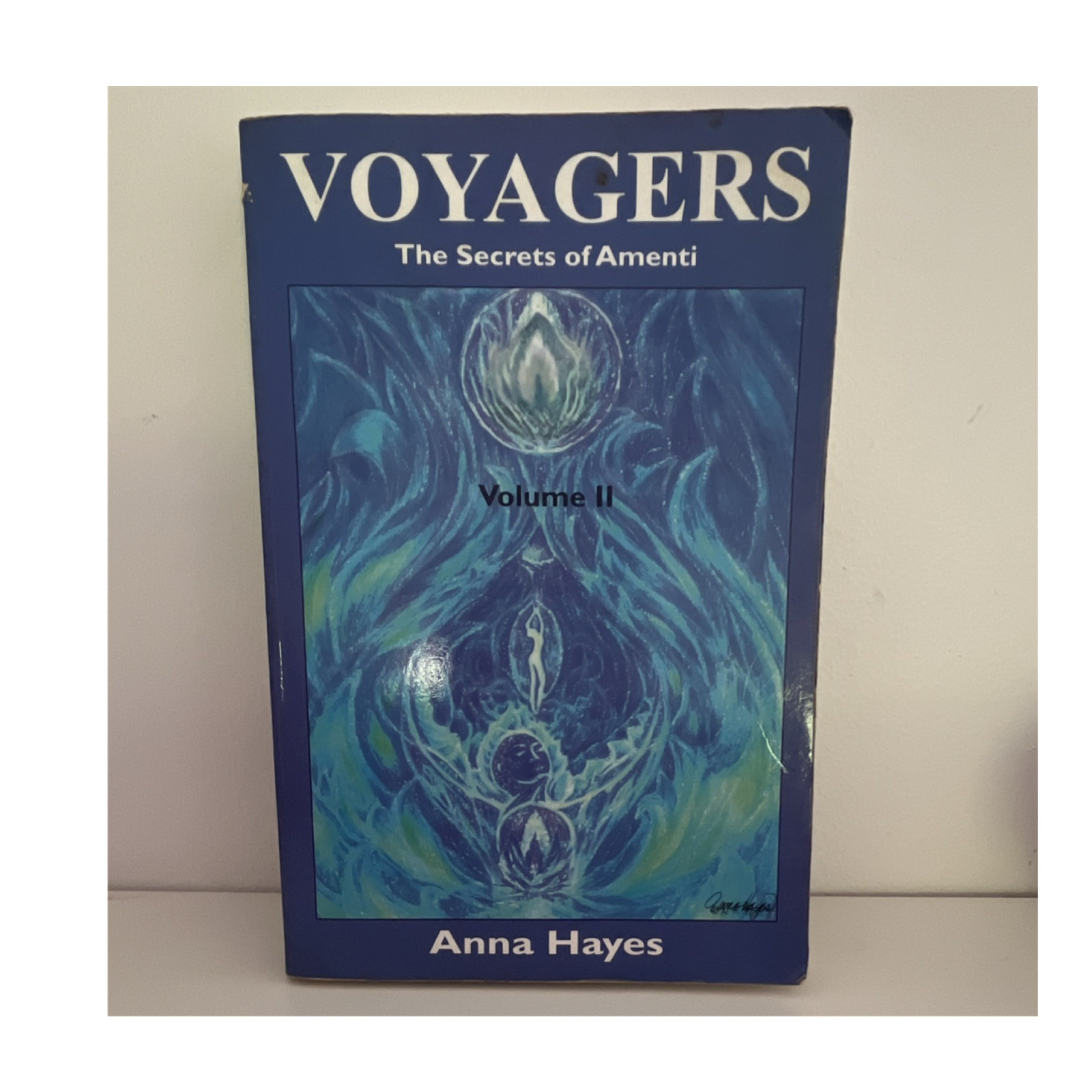 Voyagers: The Secrets of Amenti Vol II by Anna Hayes Illustrated Paperback 1999